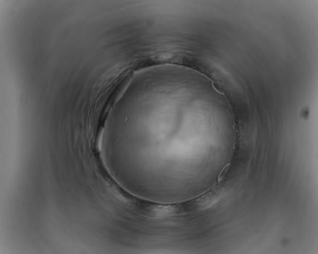 X0000091500085200708161507