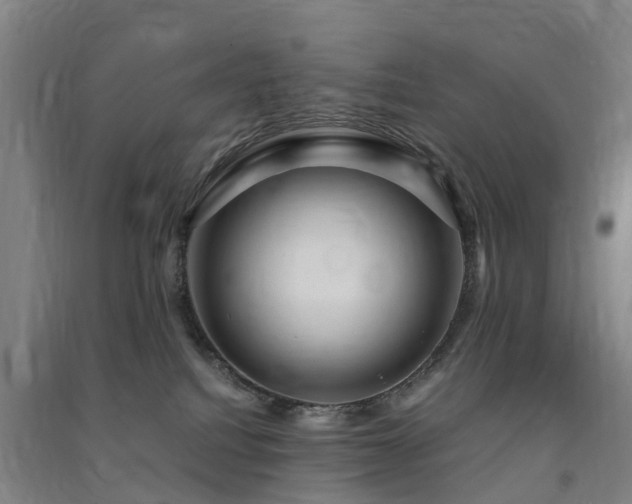 X0000091500088200708161507