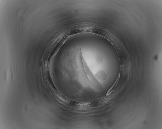 X0000091500093200708161507