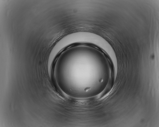 X0000091500094200708161507