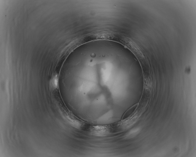 X0000091500095200708161507