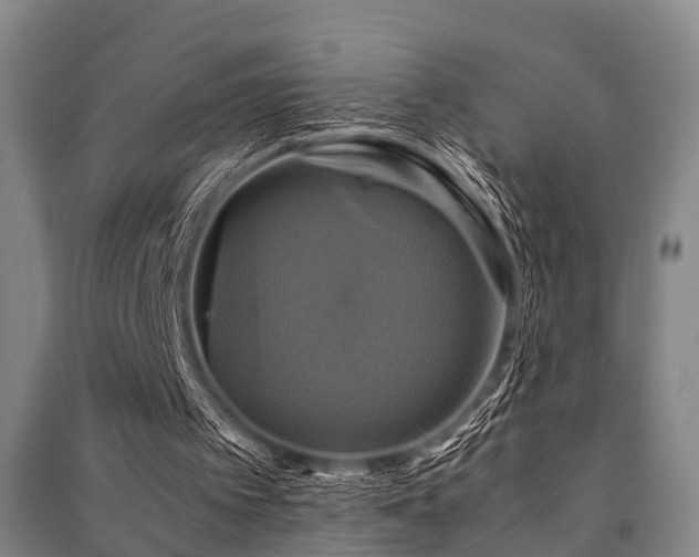 X0000091500097200708161507