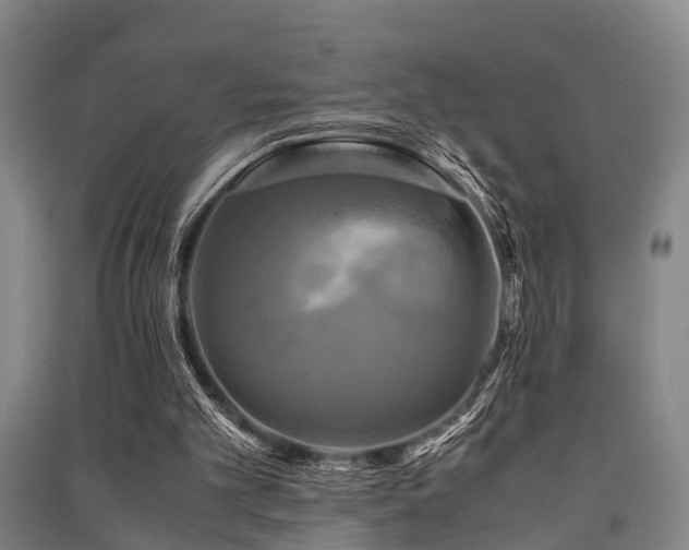 X0000091500101200708161507
