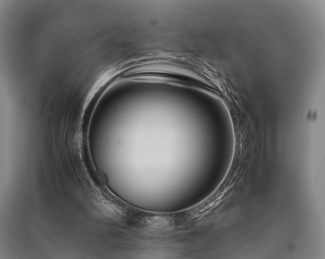 X0000091500102200708161507