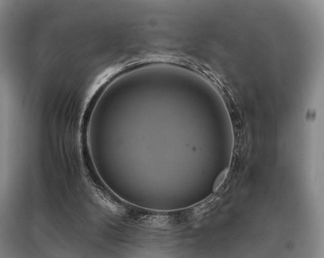 X0000091500104200708161507