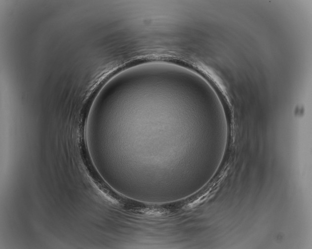 X0000091500105200708161507