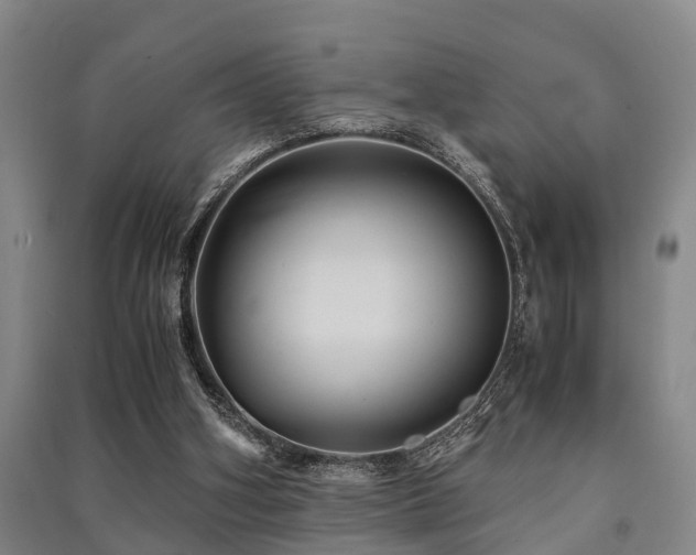 X0000091500106200708161507