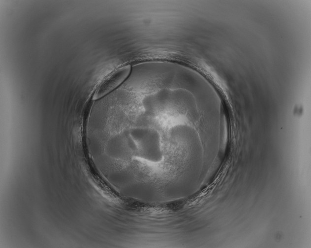 X0000091500107200708161507