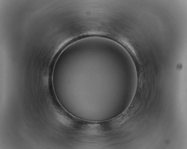 X0000091500108200708161506