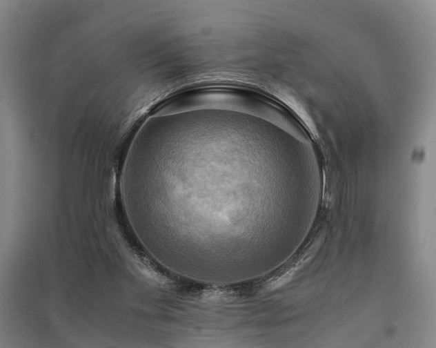 X0000091500109200708161506