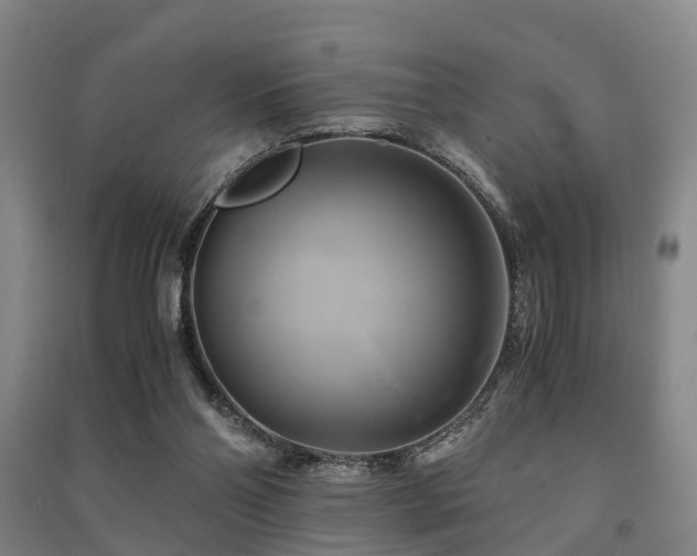 X0000091500110200708161506