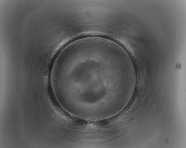 X0000091500111200708161506