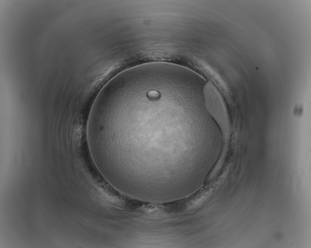 X0000091500113200708161506