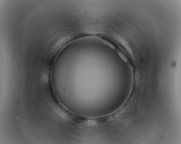 X0000091500114200708161506