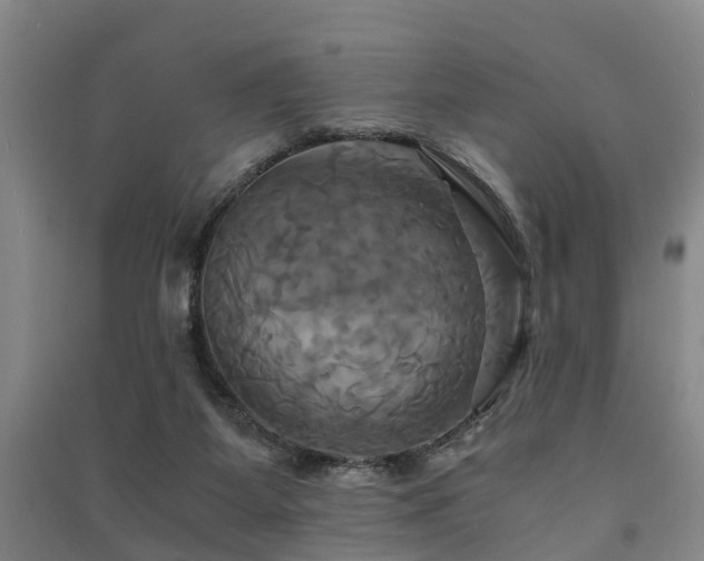 X0000091500115200708161506