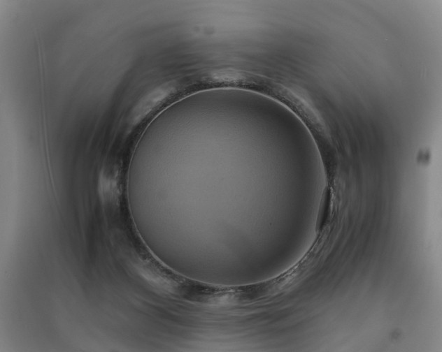 X0000091500116200708161506