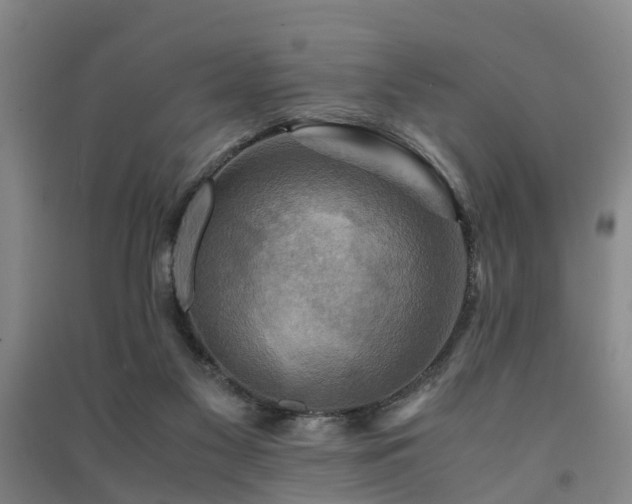 X0000091500117200708161506