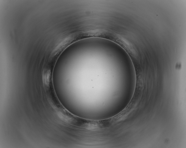 X0000091500118200708161506