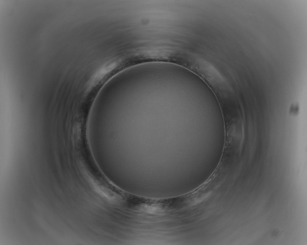 X0000091500120200708161506