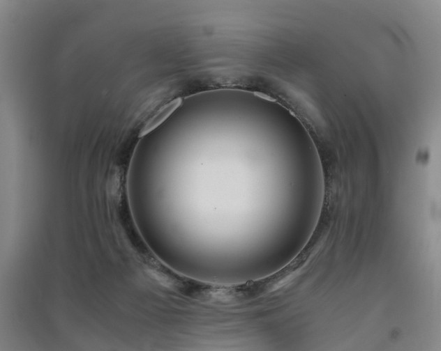 X0000091500121200708161506