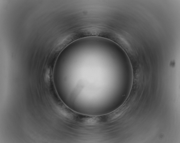 X0000091500122200708161506