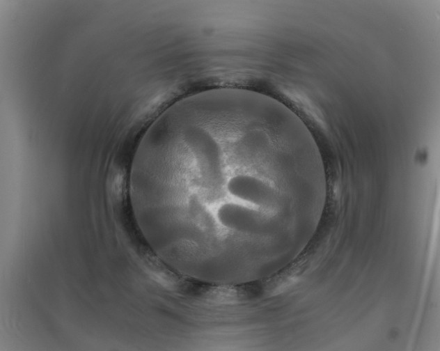 X0000091500123200708161506