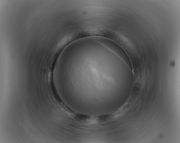 X0000091500124200708161506