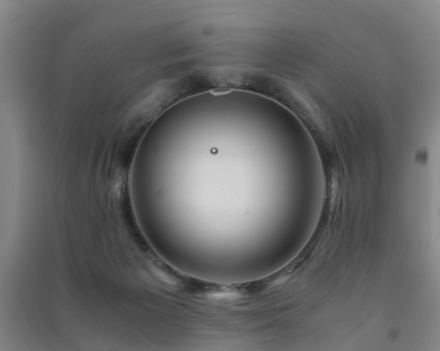 X0000091500125200708161506