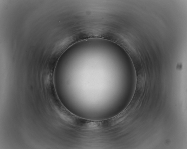 X0000091500126200708161506