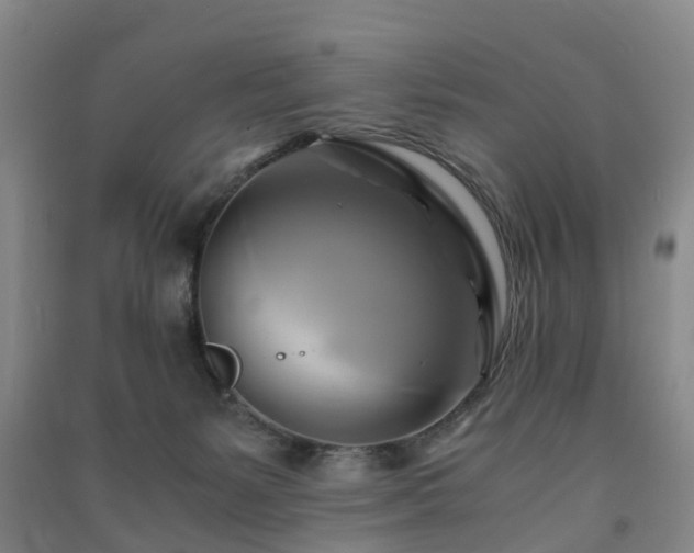 X0000091500127200708161506