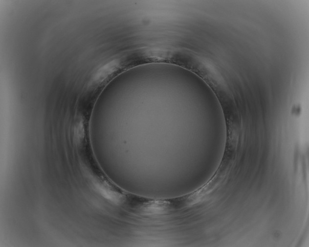 X0000091500128200708161506