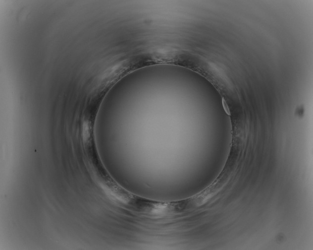 X0000091500130200708161506