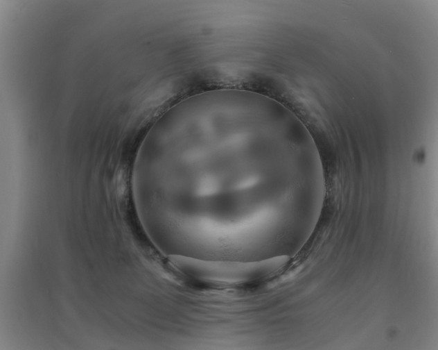 X0000091500131200708161506