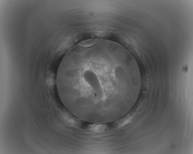 X0000091500135200708161506