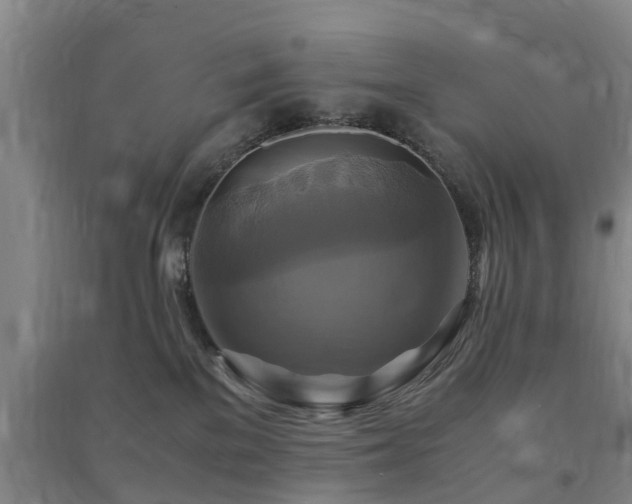 X0000091500137200708161506