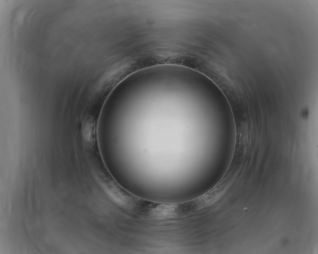 X0000091500138200708161506