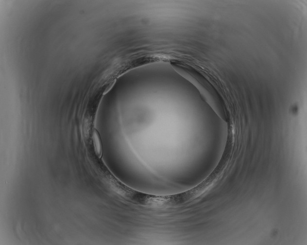X0000091500139200708161506