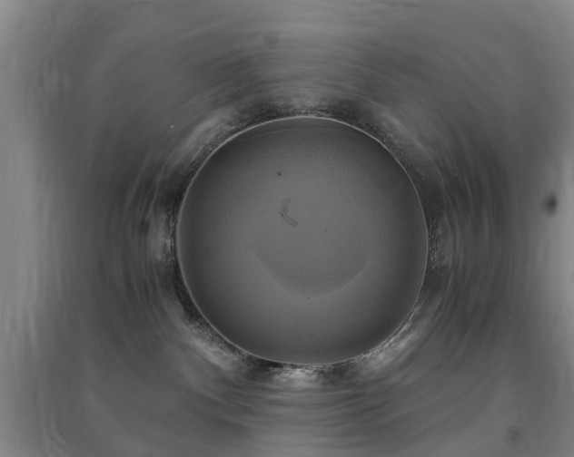 X0000091500140200708161506