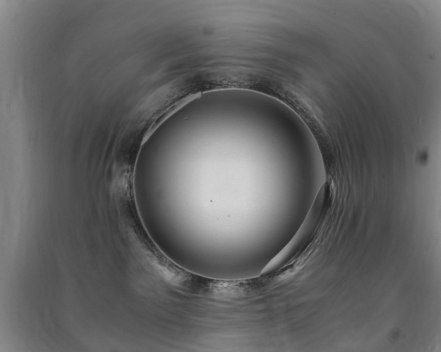 X0000091500141200708161506