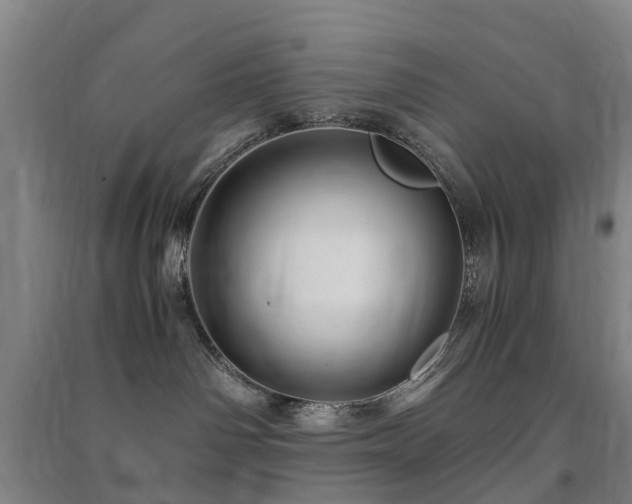 X0000091500142200708161506