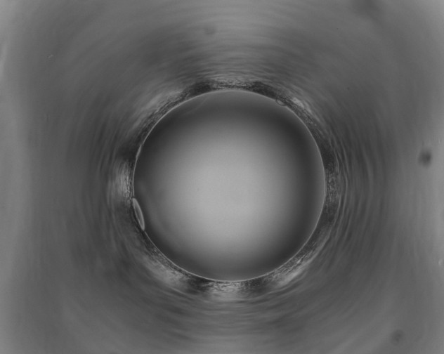X0000091500143200708161506