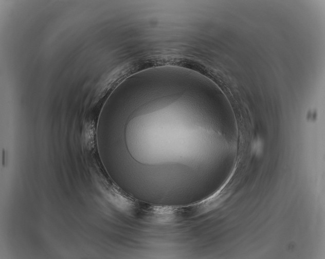 X0000091500144200708161506