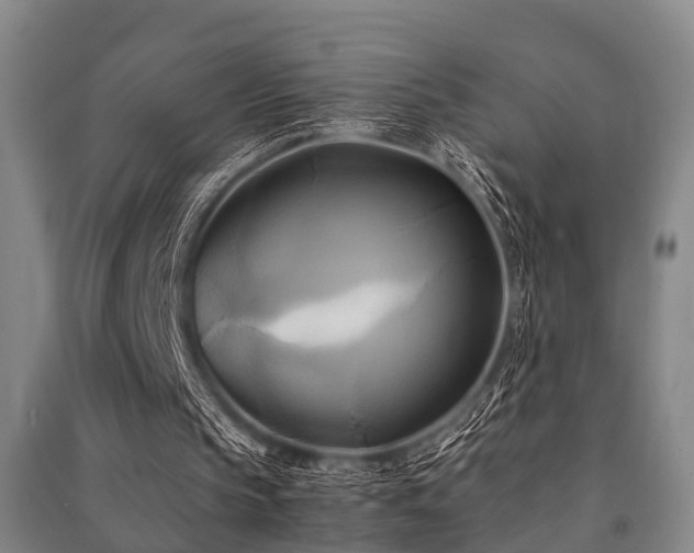 X0000091500145200708161505