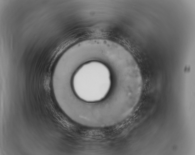 X0000091500146200708161505