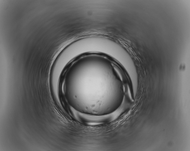 X0000091500148200708161505