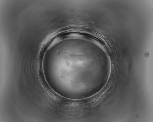 X0000091500149200708161506
