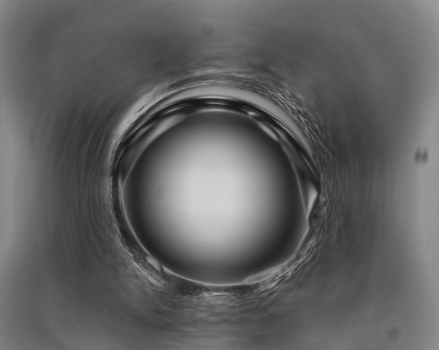 X0000091500150200708161506