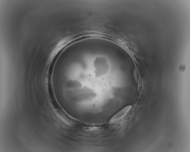 X0000091500151200708161506