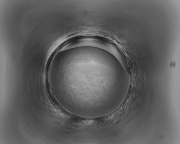 X0000091500152200708161506