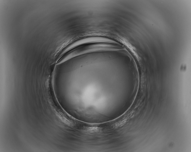 X0000091500153200708161506